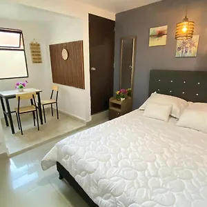  Apartamento 33 Comodo Laureles Estadio 3 3 Banos